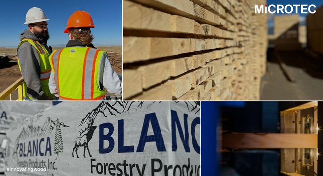 Blanca Forestry Products optimises its performance with MiCROTEC